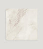 Curated Brushed Marble Bianco 59.5cm x 59.5cm