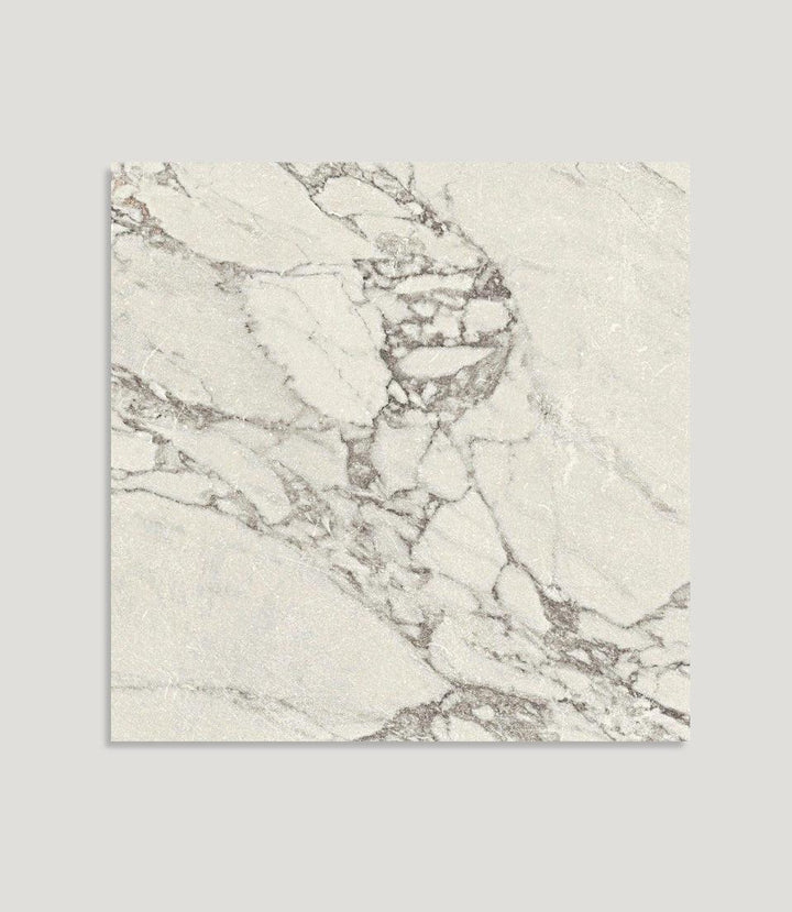 Curated Brushed Marble Grigio 59.5cm x 59.5cm