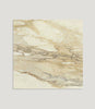 Curated Brushed Marble Oro 59.5cm x 59.5cm